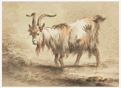 山羊的研究 作者 Jean Baptiste Huet