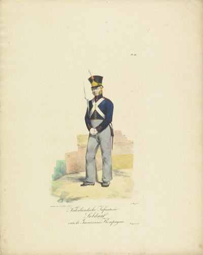 卫戍连士兵，1820-1825 年
Nederlandsche Infanterie Soldaat van de Garnizoens Kompagnie（标题见实物）
荷兰王国的军装。献给威廉-范-比兰特阁下（文物上的系列名称） 作者 J德尔福斯