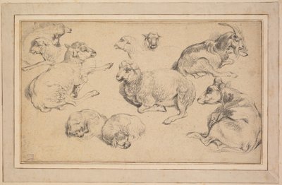 绵羊、山羊和狗的研究片，约1780年。 作者 让·巴蒂斯特·玛丽·休特