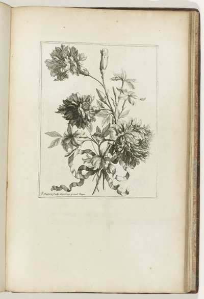 绑定花束
小花束（系列名称） 作者 Jean-Baptiste Monnoyer