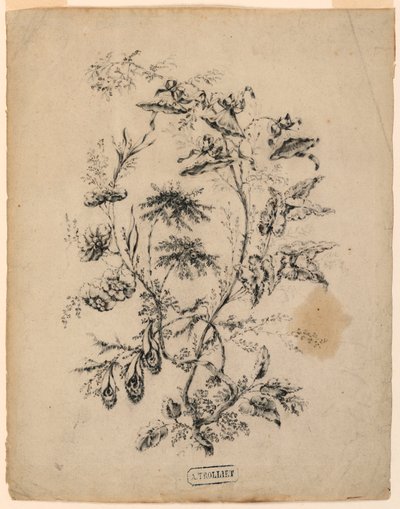 素描，梦幻树的枝桠，1775-1800 年 作者 让·巴蒂斯特·皮列曼