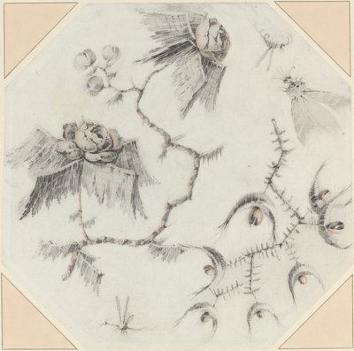 梦幻般的花和虫子 作者 让·巴蒂斯特·皮列曼