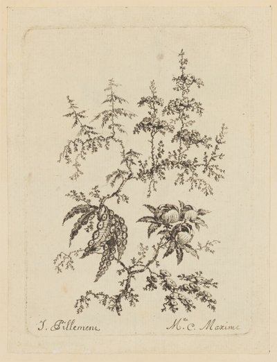 神奇的花 作者 让·巴蒂斯特·皮列曼