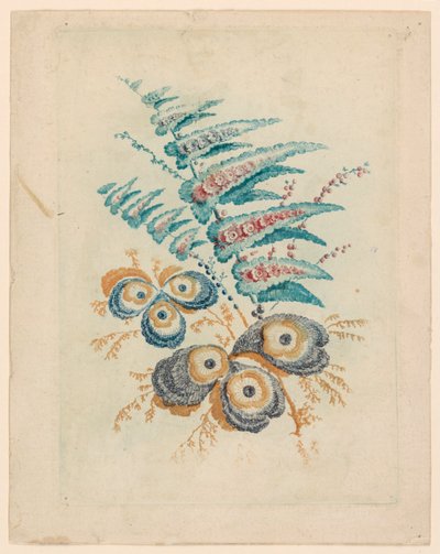 来自 Nouvelle Suitte de Cahiers de Fleurs Idéales 的奇妙花朵图案 作者 安妮·艾伦