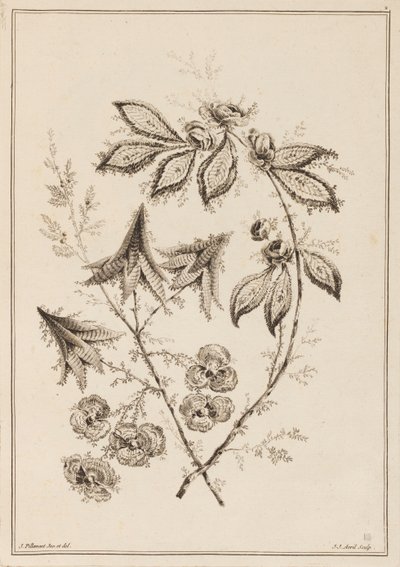 花枝 作者 让·巴蒂斯特·皮列曼
