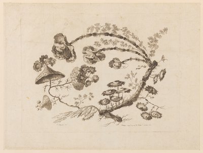 花枝，摘自《中国品味的不同花饰集》（Recueil de Differentes Fleurs de Fantaisie Dans le Goût Chinois）。 作者 让·巴蒂斯特·皮列曼