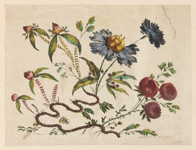 花枝，选自《中国风味不同花卉集 作者 让·巴蒂斯特·皮列曼