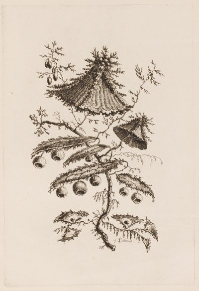 花枝，选自 "Fleures Persannes" 作者 让·巴蒂斯特·皮列曼
