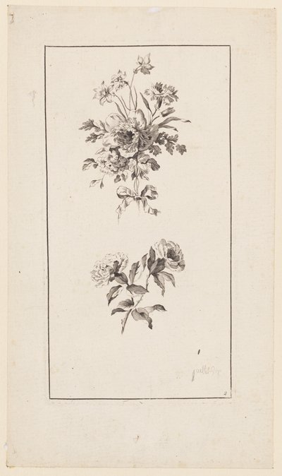 花枝，选自《Divers Bouquets d