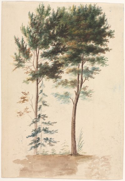 树木，1700年代。 作者 让·巴蒂斯特·皮列曼