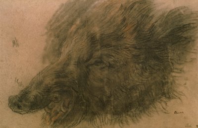 野猪的头（纸上的木炭） 作者 让·巴蒂斯特·西蒙·查尔丁