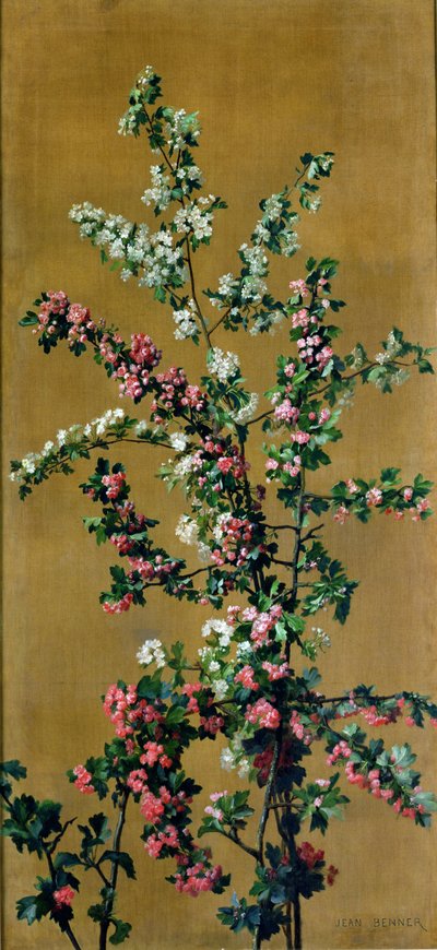 日本樱花树和山楂树枝（对215287对） 作者 让·本纳