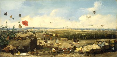 蝴蝶竞赛，1872年 作者 让·尤金·多诺（Jean Eugene Doneaud）