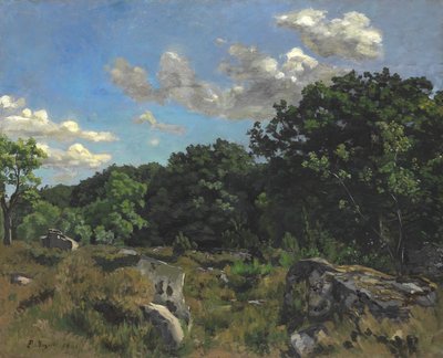 1865年夏利的风景 作者 让·弗雷德里克·巴齐尔