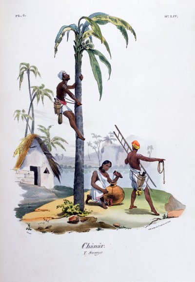 夏纳尔（1828） 作者 让·亨利·马莱特