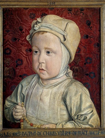 查尔斯八世 (1470-1498) 和布列塔尼的安妮之子查尔斯·奥兰特 (1492-1495) 的海豚肖像画，让·黑 (1450-1505) 的画作称为磨坊大师 1494 年。太阳。 0,28x0,23 m 巴黎。 卢浮宫博物馆 - 查尔斯·奥尔兰太子的肖像 (14 作者 珍·海伊