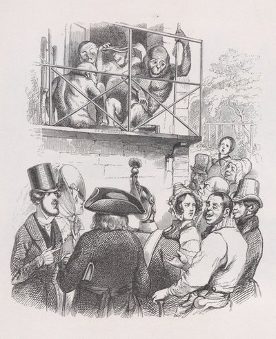 猩猩出自《贝朗热全集》，1836年。 作者 让·伊格纳斯·伊西多尔·杰拉德