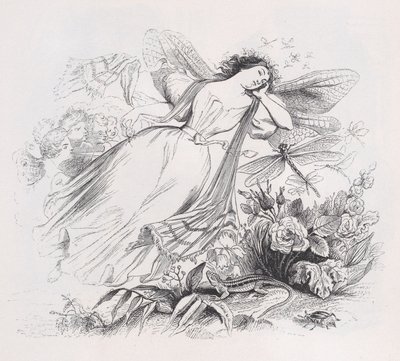 西尔弗》选自《贝朗热全集》，1836年。 作者 让·伊格纳斯·伊西多尔·杰拉德