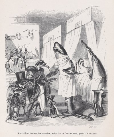 我们要切开肌肉，锯开骨头，一句话，从Sc......中医治病，约1837-47。 作者 让·伊格纳斯·伊西多尔·杰拉德