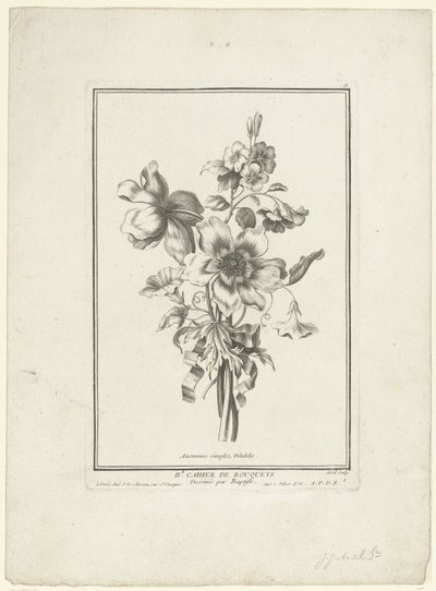 海葵和风之书
简单的海葵，瓦卢比利斯（物体上的标题）
IIe Cahier de Bouquets（系列标题） 作者 雅克·弗朗索瓦·舍罗