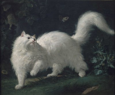 安哥拉猫追蝴蝶，约 1760 年（布面油画） 作者 让·雅克·巴切里尔