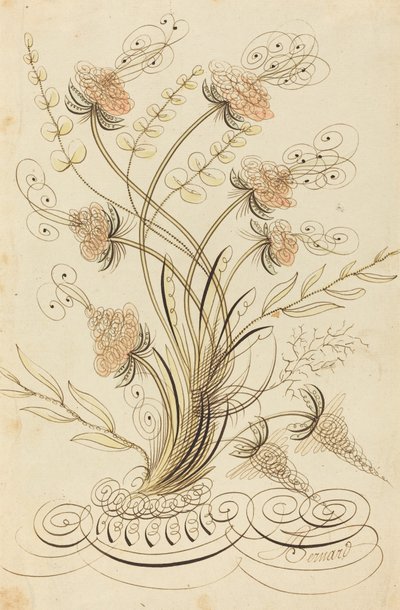书法花 作者 让·约瑟夫·伯纳德（Jean Joseph Bernard）称伯纳德·德·巴黎（Bernard de Paris）