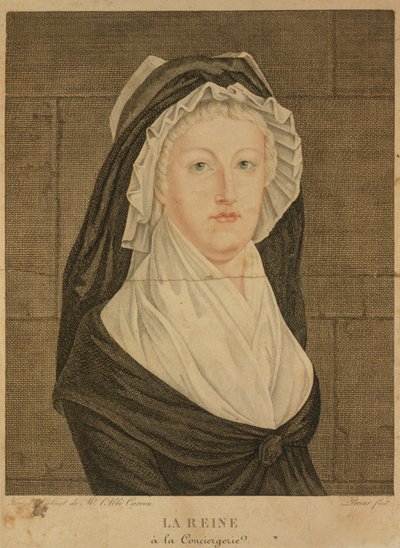 玛丽·安托瓦内特（Marie Antoinette）在监狱看守，1793年 作者 让·路易斯·普里尔