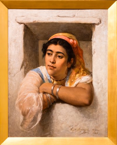 在窗口 作者 让·雷蒙德·希波吕特·拉泽斯