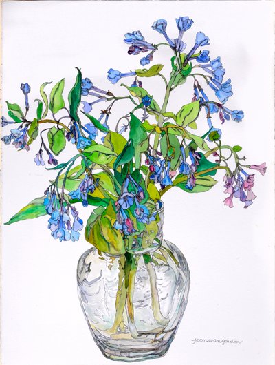 窄颈花瓶中的弗吉尼亚蓝钟，2006 年（纸上水彩和墨水） 作者 吉恩·斯万·戈登
