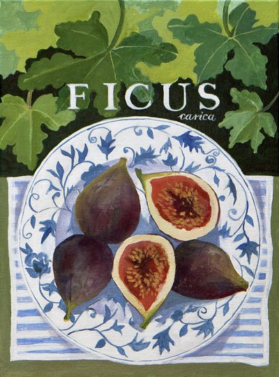 Fieus（无花果），2014（丙烯酸画布） 作者 詹妮弗·阿博特