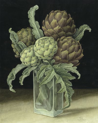 朝鲜蓟 作者 珍妮·巴伦（Jenny Barron）
