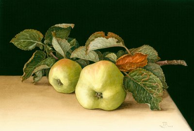 Bramleys 作者 珍妮·巴伦（Jenny Barron）