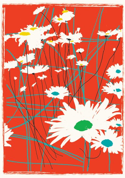 菊花链，2015（混合媒体） 作者 珍妮·弗兰（Jenny Frean）