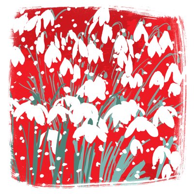 Snowdrops 作者 珍妮·弗兰（Jenny Frean）