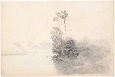 湖中海草上的瑞士长矛内阁与树木 作者 詹斯·尤尔