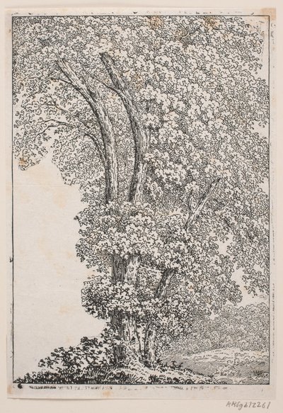 为 Oehlenschläger 在 "Gæa "中的诗作绘制插图 作者 延斯·彼得·隆德