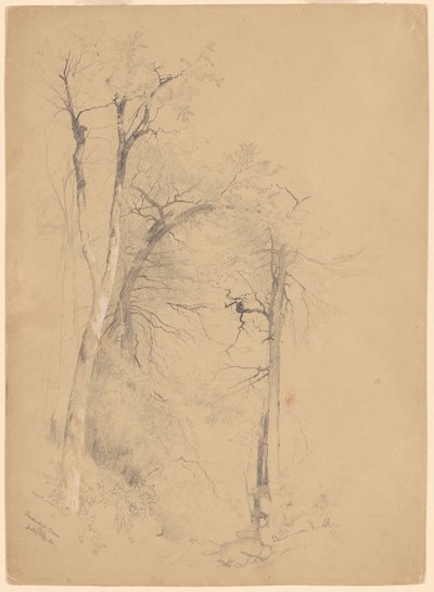 考特斯基尔丁香 作者 杰维斯·麦肯特（Jervis McEntee）