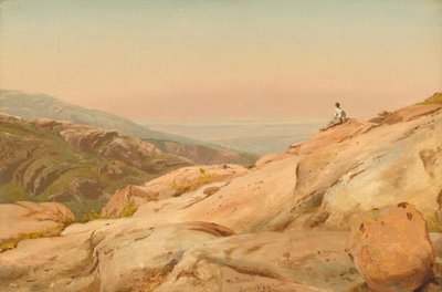 缅因州沙漠山岛 作者 杰维斯·麦肯特（Jervis McEntee）