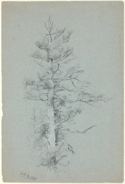 树木研究 作者 杰维斯·麦肯特（Jervis McEntee）