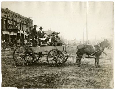 阿肯色州 作者 杰西·塔伯·比尔斯（Jessie Tarbox Beals）