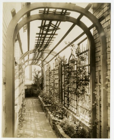Regina Jais夫人的后花园，约1936-37年（明胶银照片）。 作者 杰西·塔伯·比尔斯（Jessie Tarbox Beals）