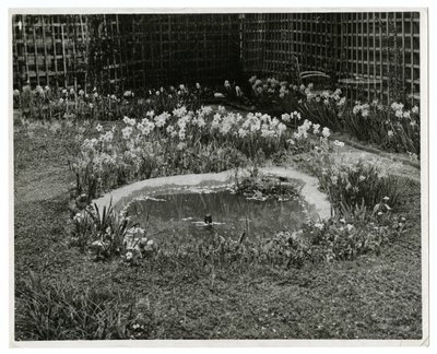 Wm H Wells先生和夫人的花园 265 W 11th St, New York, USA 作者 杰西·塔伯·比尔斯（Jessie Tarbox Beals）