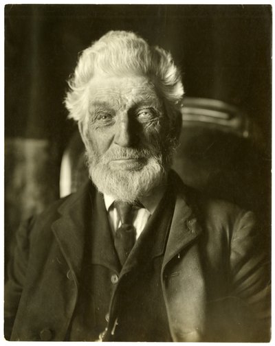 信使先生，蜜蜂，c.1905-09 作者 杰西·塔伯·比尔斯（Jessie Tarbox Beals）