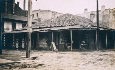 新奥尔良，c.1905 作者 杰西·塔伯·比尔斯（Jessie Tarbox Beals）