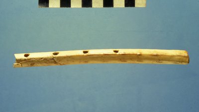 长笛，大卫市，公元前799  -  600年（骨） 作者 犹太学校