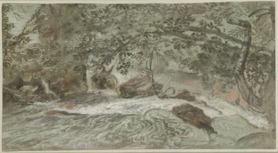悬挂着树枝的急流（背面）。 作者 约阿希姆·弗朗茨·贝希