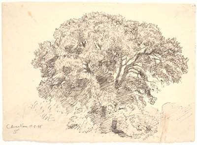 研究树木克莱森花园 作者 乔金·弗雷德里克·斯科夫加德
