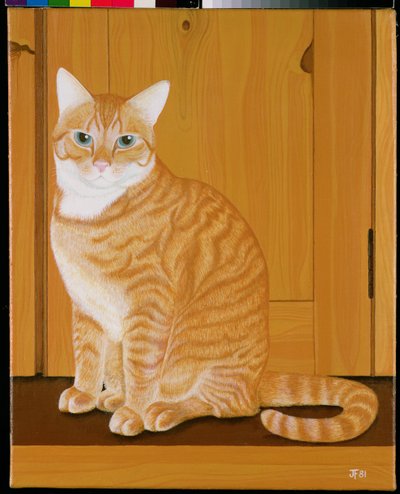 由门的橘子果酱猫 作者 琼·弗里斯通