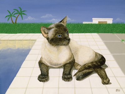 由游泳池的暹罗猫 作者 琼·弗里斯通