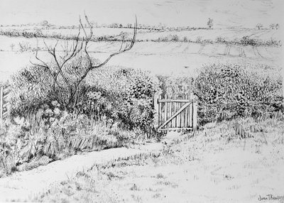 2015年，Cottage Gate和View Beyond，（笔和墨水） 作者 琼·瑟西